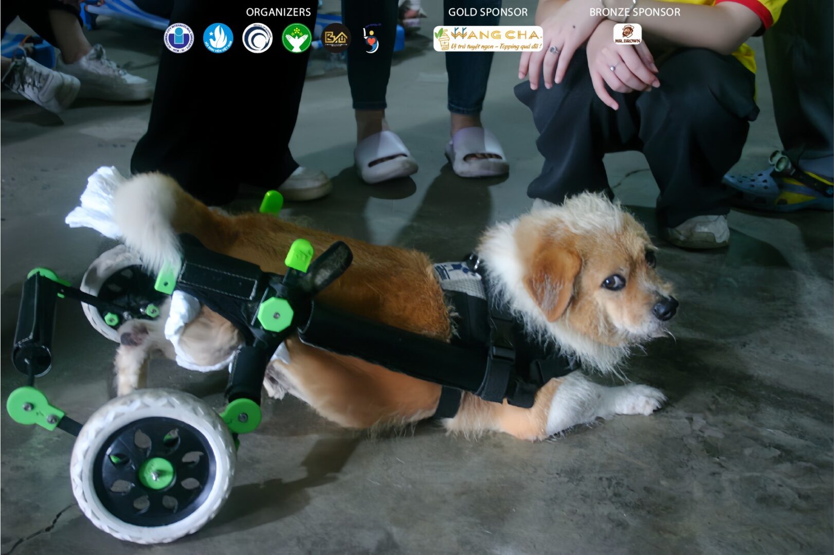 475232260_2066552733789959_1317580298724602581_n