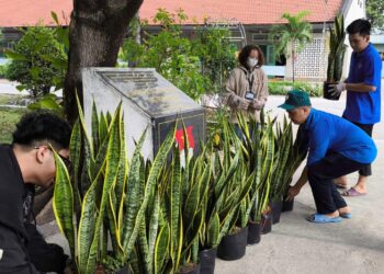 [ĐOÀN – HỘI KHOA CÔNG NGHỆ THÔNG TIN] TỔNG KẾT HOẠT ĐỘNG “CHỦ NHẬT XANH”: TRỒNG CÂY VÀ DỌN DẸP KHUÔN VIÊN TRUNG TÂM ĐIỀU DƯỠNG NGƯỜI BỆNH TÂM THẦN